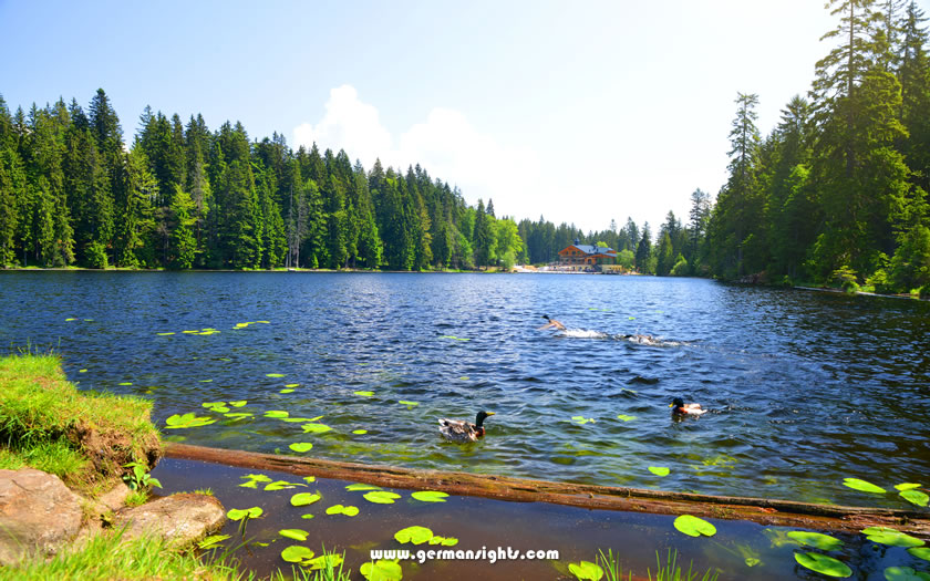 The Grosser Arbersee in the Bavarian Forest