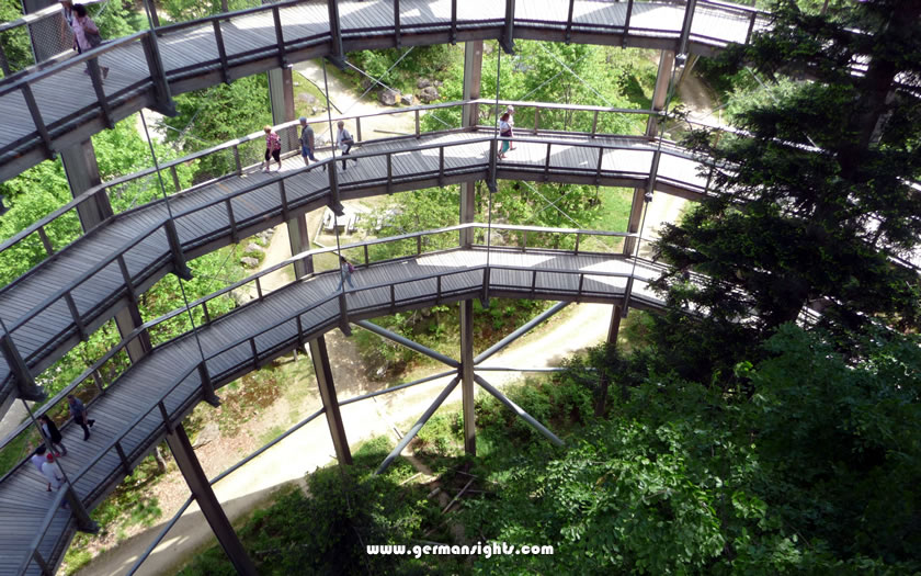 The Treetop Walk in the Bavarian Forest National Park