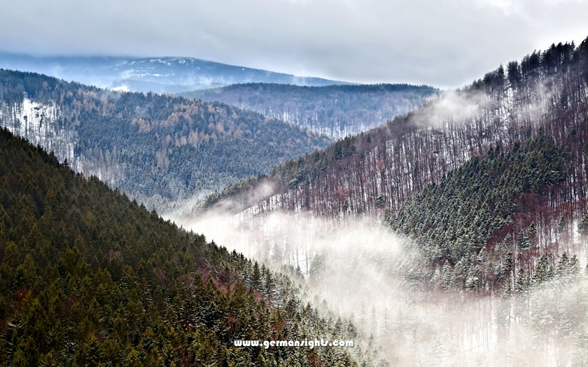 Winter mists in the Harz Mountains