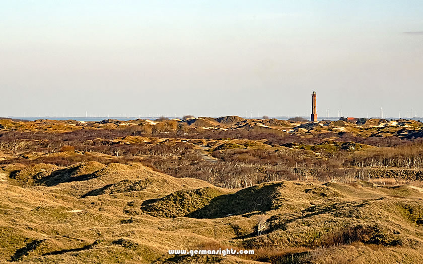 Sand dune landscape on Norderney