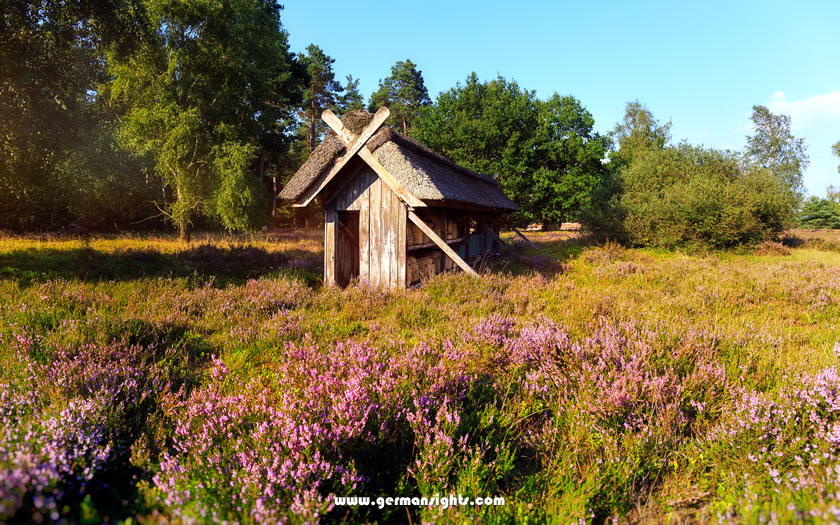Beehive on Lüneburg heath