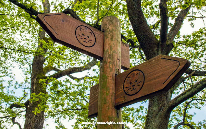 Signposts for the Wilderness Trail in the Eifel National Park