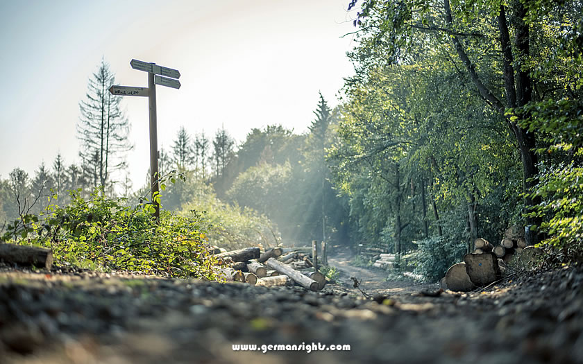 Signposts on the Hermannsweg in the Teutoburg Forest
