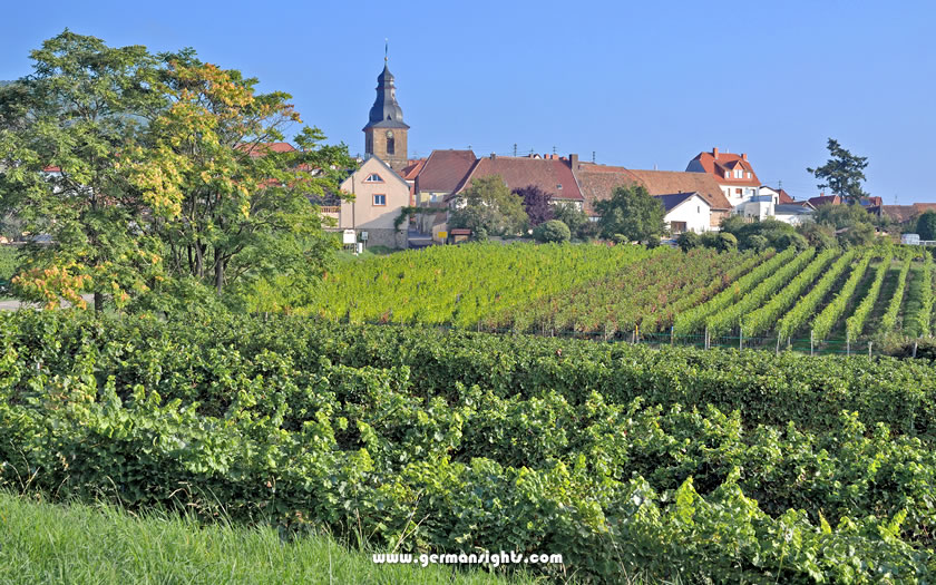 Vineyards near the village of Frankenweiler on the German Wine Route