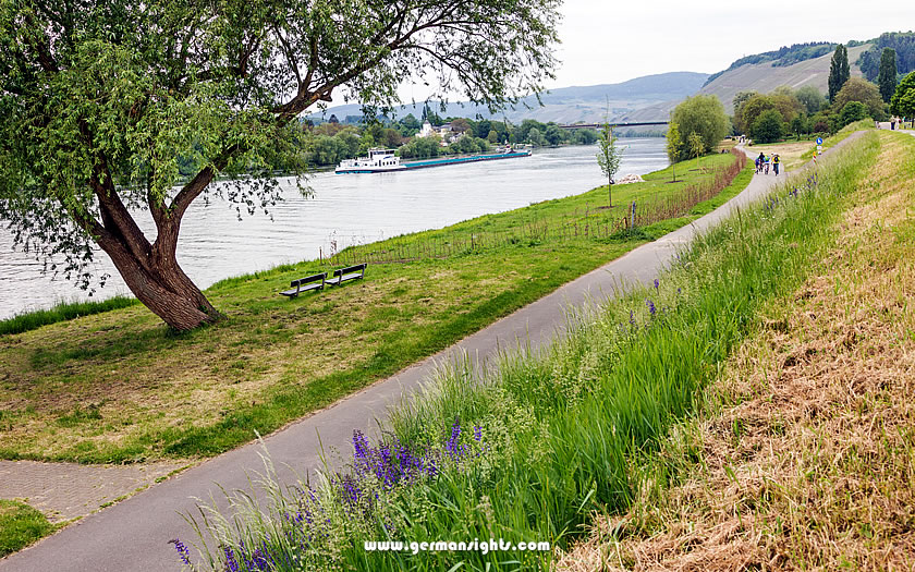The Mosel valley cycle trail