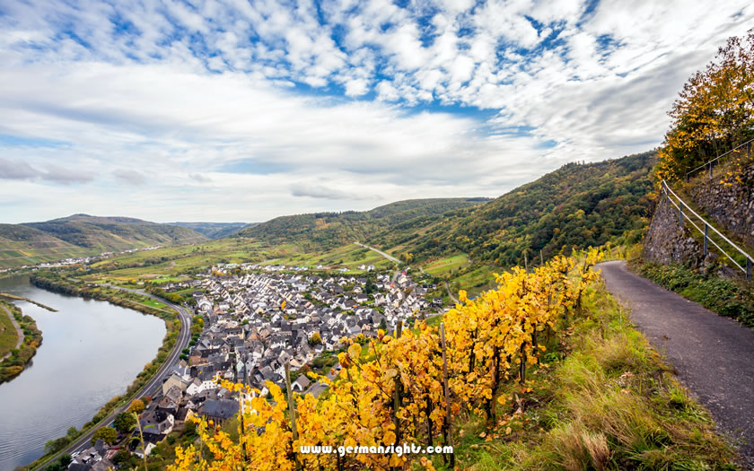 Hiking in the Mosel valley