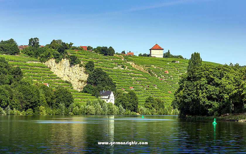 Vineyards along the Neckar near Stuttgart